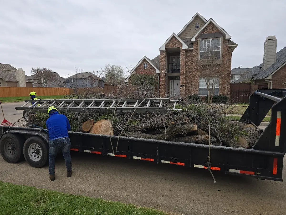 Expert Tree Pest Control with proper safety equipment in Trexlertown